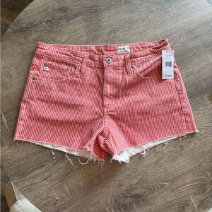 Adriano Goldschmied Striped Denim Shorts – Size 27 – NWT